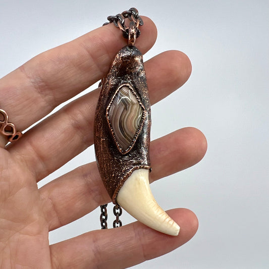 Black Bear Tooth with Banded Agate Accent - Copper Electroformed Necklace