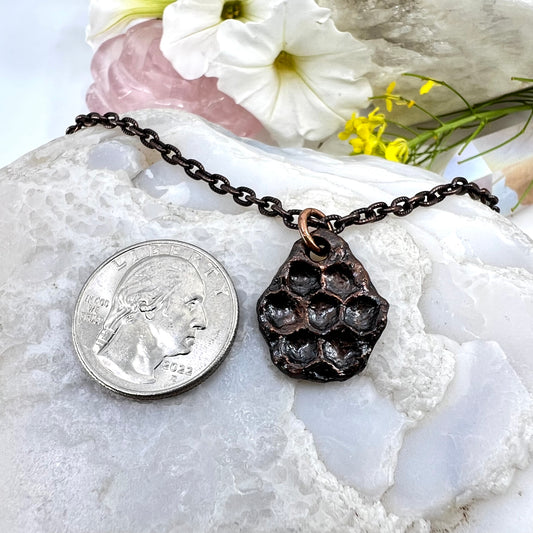 Real Honeycomb Necklace- Copper Electroformed