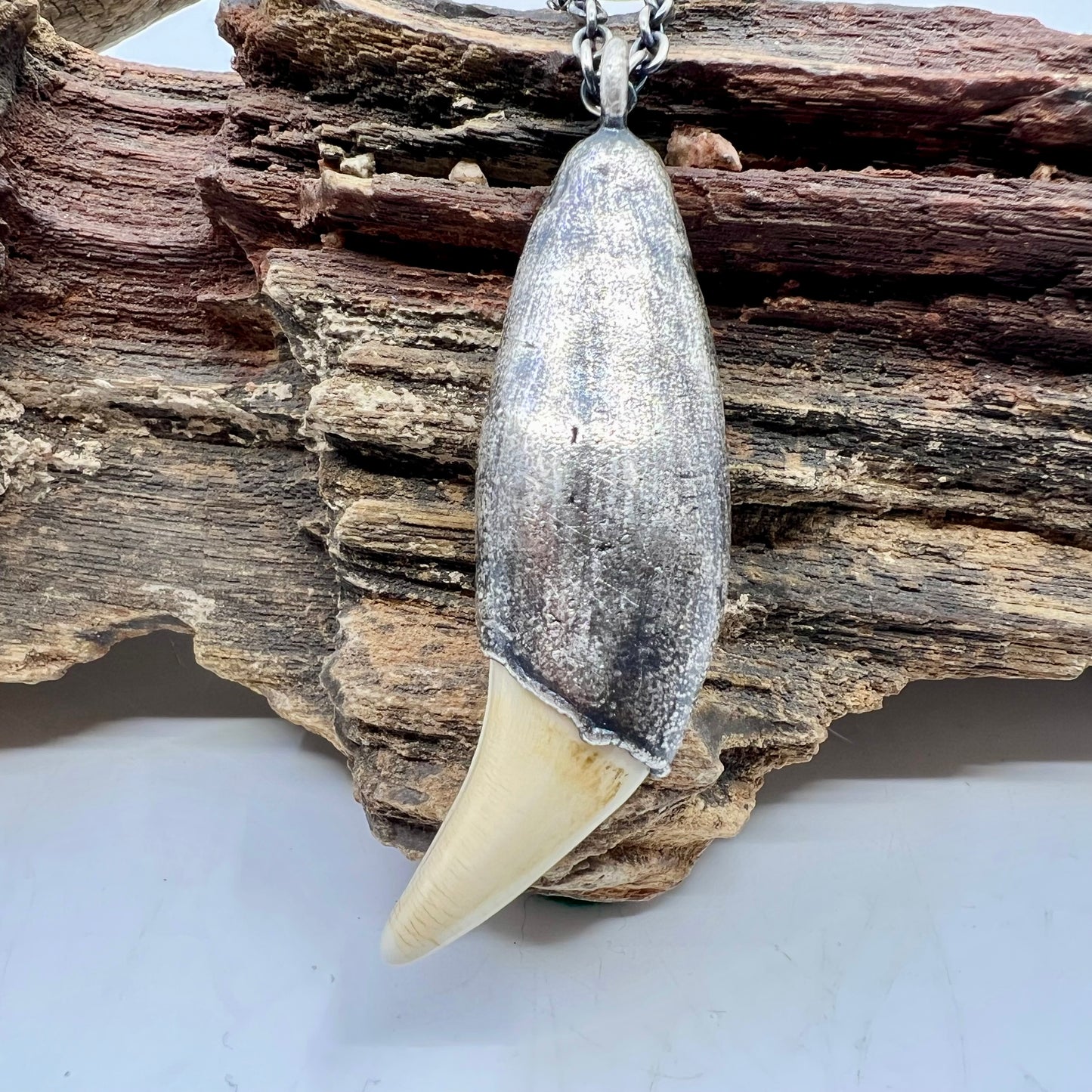 Black Bear Tooth - Silver Electroformed Necklace