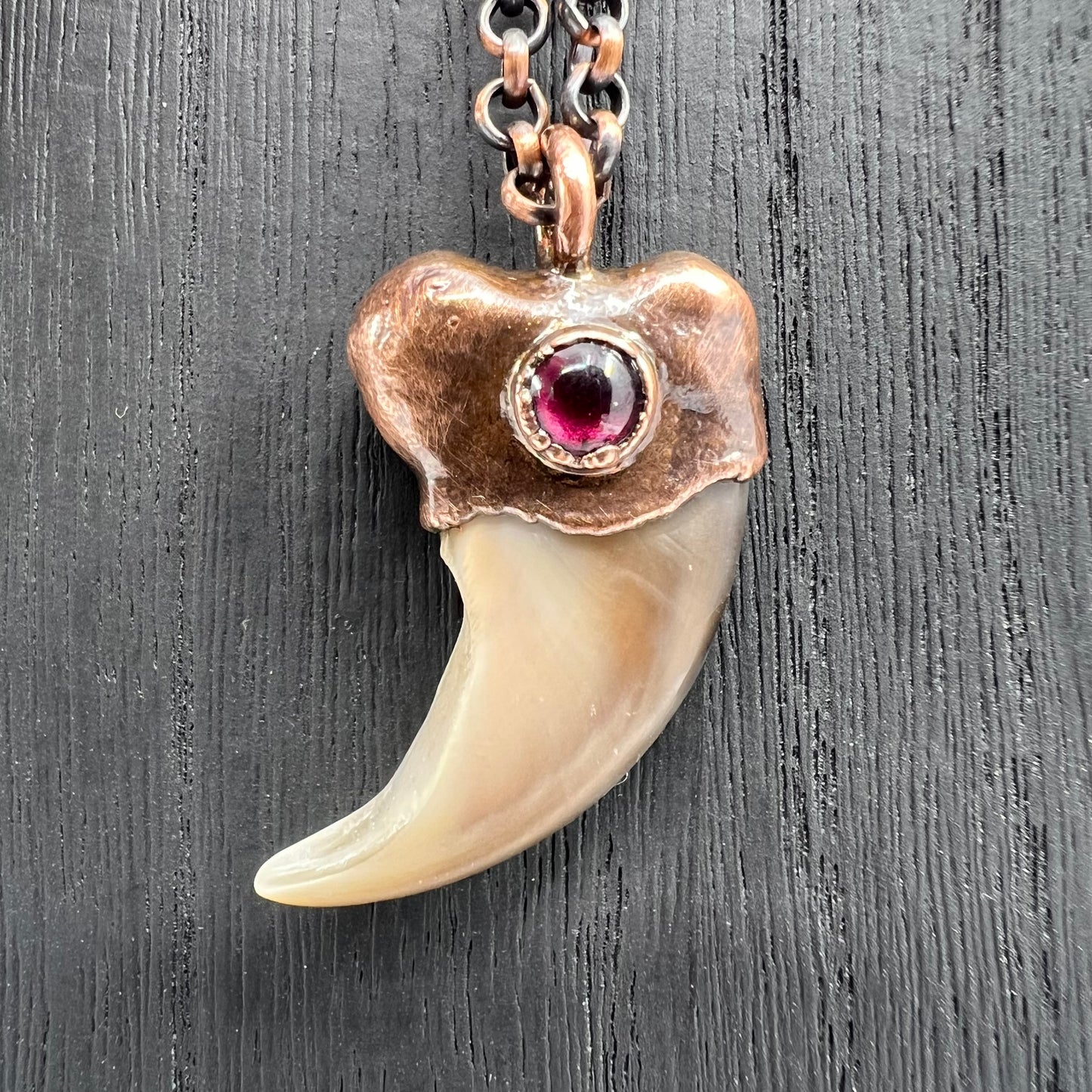 Black Bear Claw with Garnet Accent, Sm/Med Rear Claw - Copper Electroformed Necklace