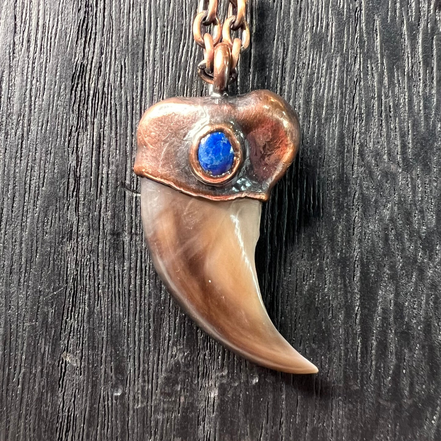 Black Bear Claw with Lapis Lazuli Accent, Sm/Med Rear Claw - Copper Electroformed Necklace