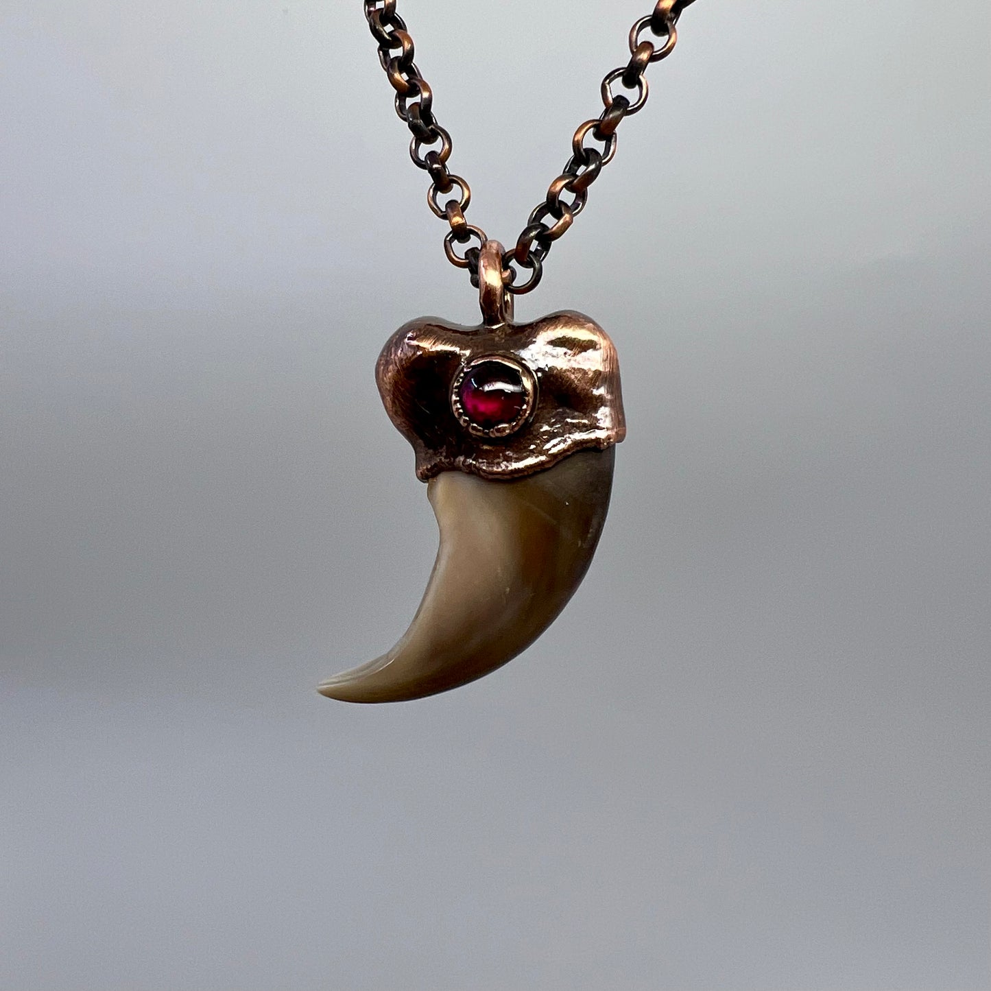 Black Bear Claw with Garnet Accent, Sm/Med Rear Claw - Copper Electroformed Necklace