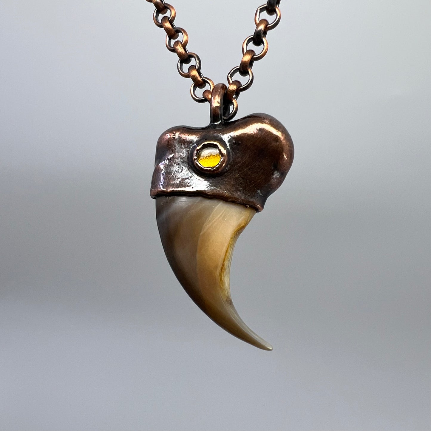 Black Bear Claw with Tourmaline Accent, Small Rear Claw - Copper Electroformed Necklace