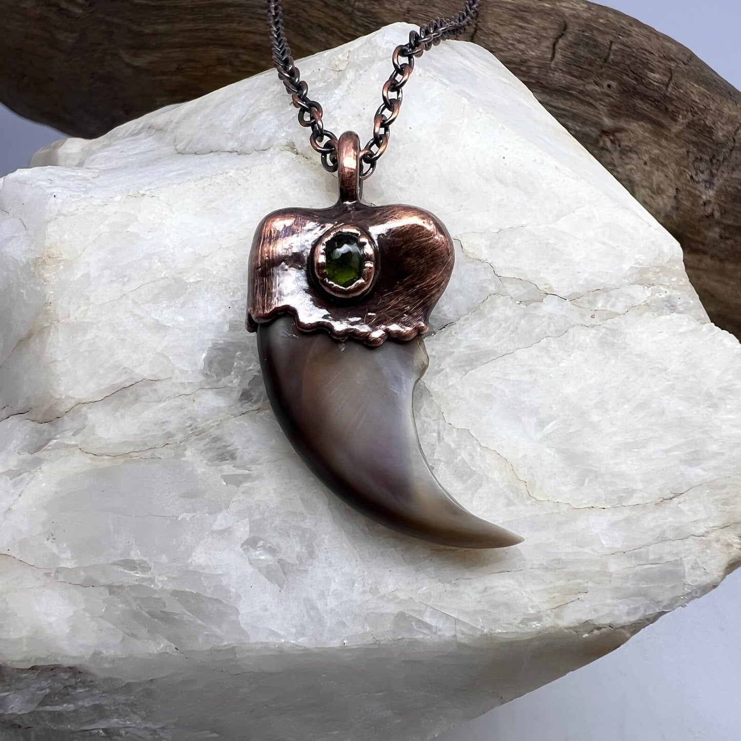 Black Bear Claw with Tourmaline Accent, Small Rear Claw - Copper Electroformed Necklace