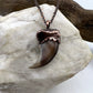 Black Bear Claw with Tourmaline Accent, Small Rear Claw - Copper Electroformed Necklace