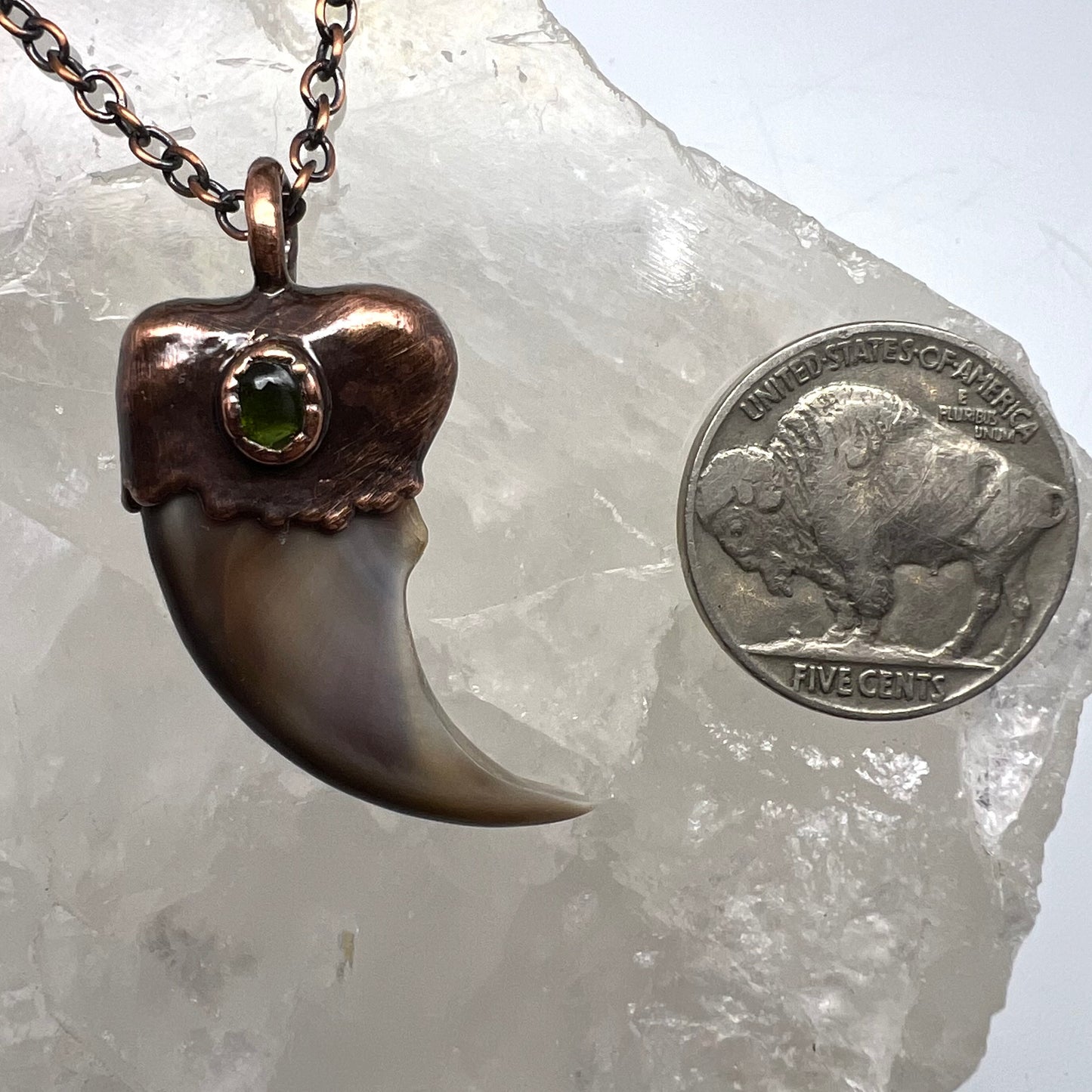 Black Bear Claw with Tourmaline Accent, Small Rear Claw - Copper Electroformed Necklace