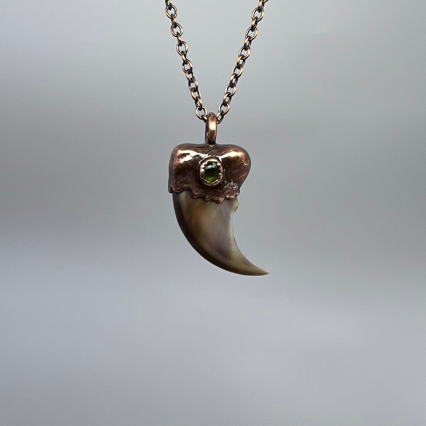 Black Bear Claw with Tourmaline Accent, Small Rear Claw - Copper Electroformed Necklace