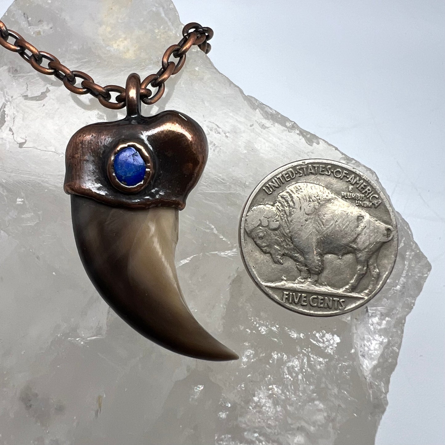 Black Bear Claw with Lapis Lazuli Accent, Sm/Med Rear Claw - Copper Electroformed Necklace