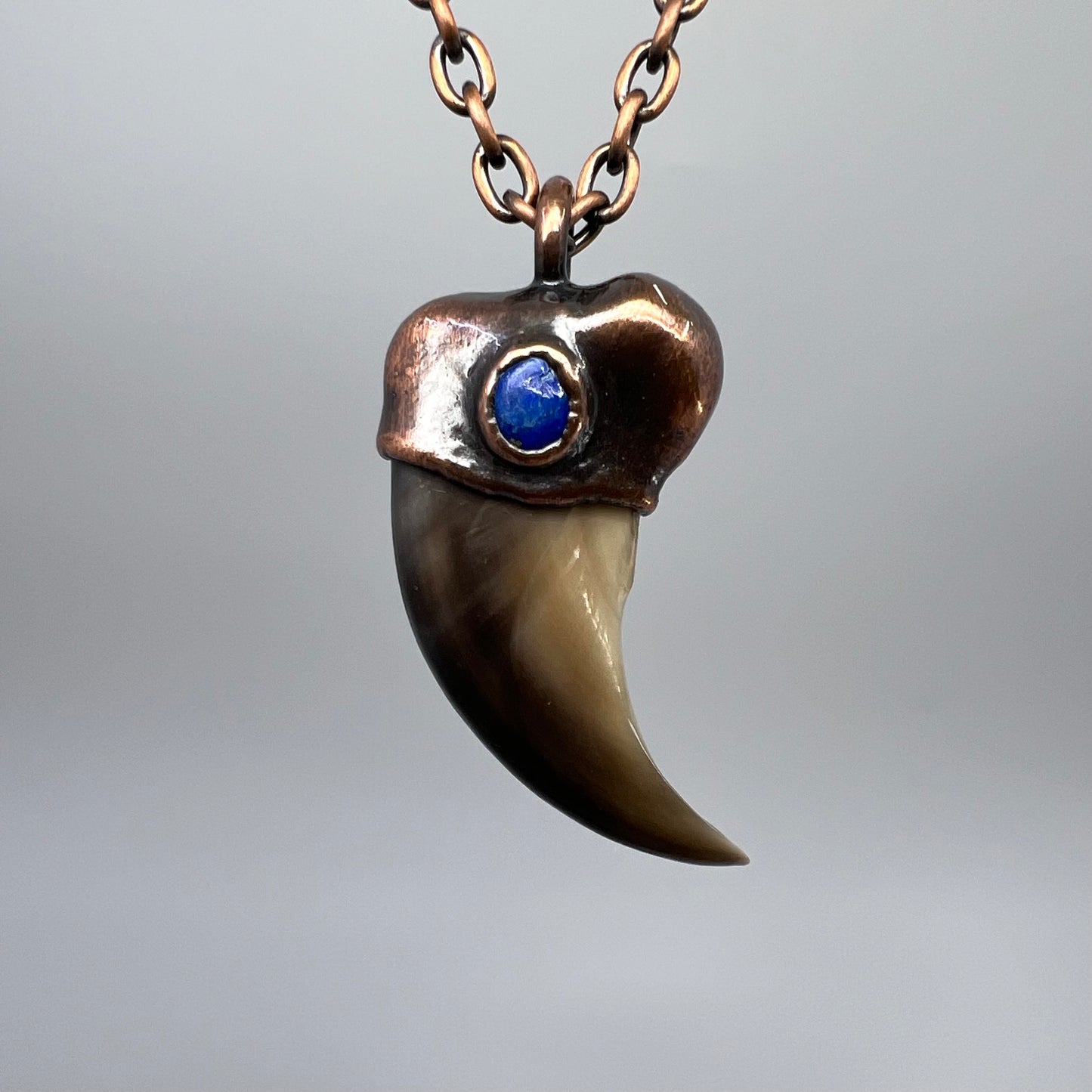 Black Bear Claw with Lapis Lazuli Accent, Sm/Med Rear Claw - Copper Electroformed Necklace