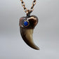 Black Bear Claw with Lapis Lazuli Accent, Sm/Med Rear Claw - Copper Electroformed Necklace