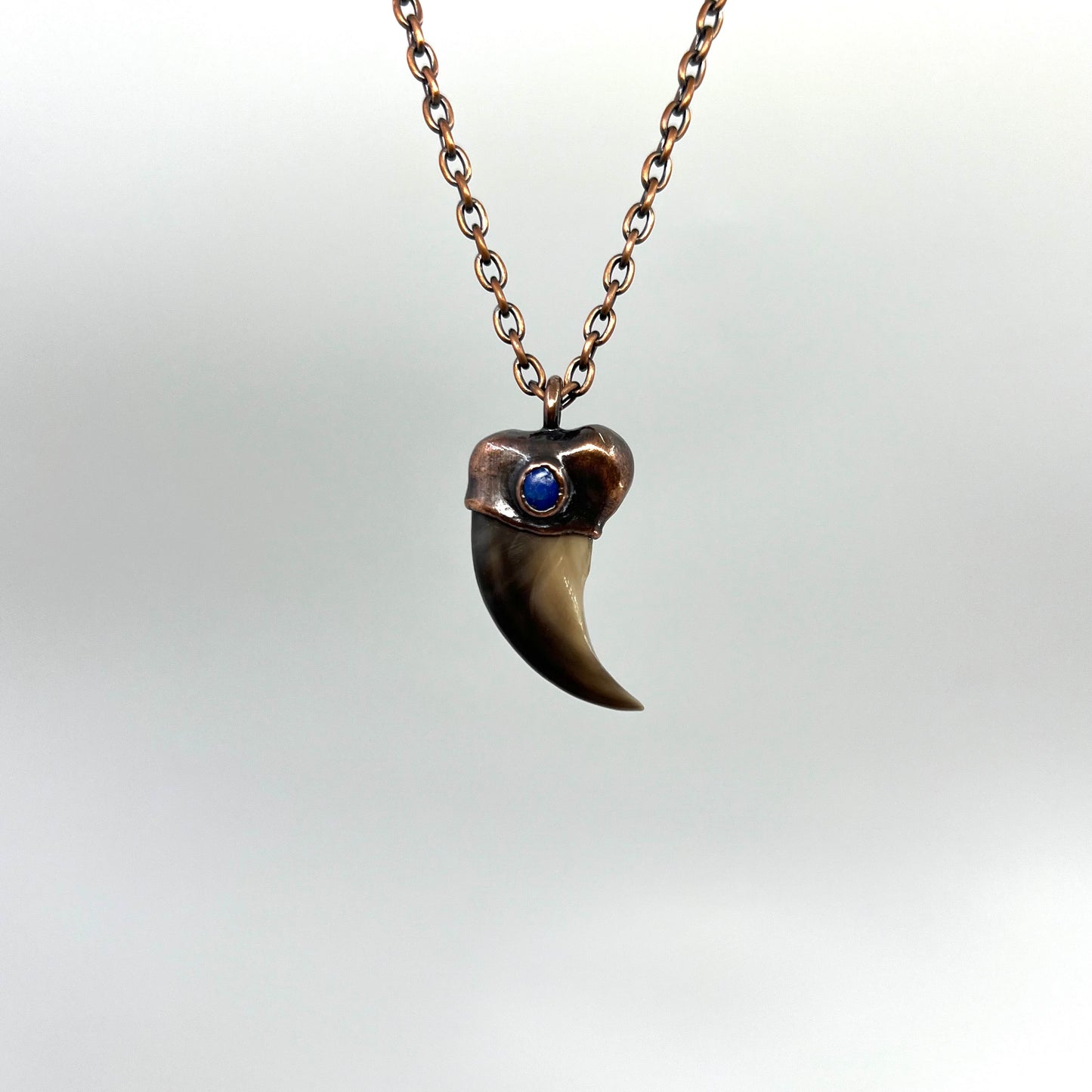 Black Bear Claw with Lapis Lazuli Accent, Sm/Med Rear Claw - Copper Electroformed Necklace