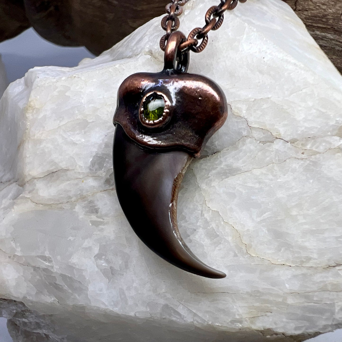 Black Bear Claw with Tourmaline Accent, Small Rear Claw - Copper Electroformed Necklace