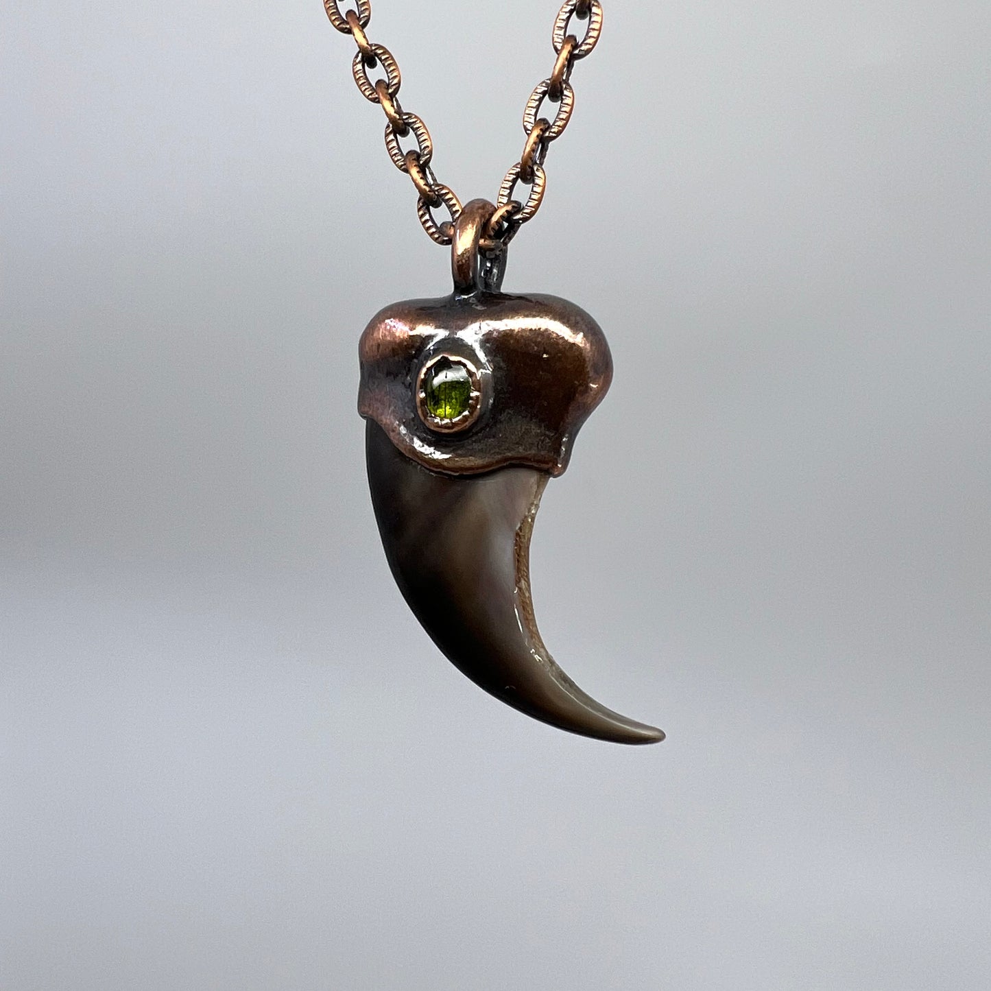 Black Bear Claw with Tourmaline Accent, Small Rear Claw - Copper Electroformed Necklace