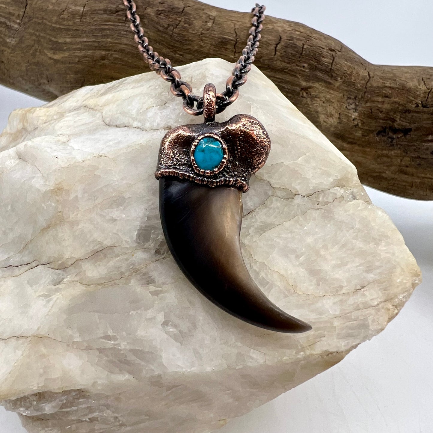 Black Bear Claw with Turquoise Accent, Large Front Claw - Copper Electroformed Necklace