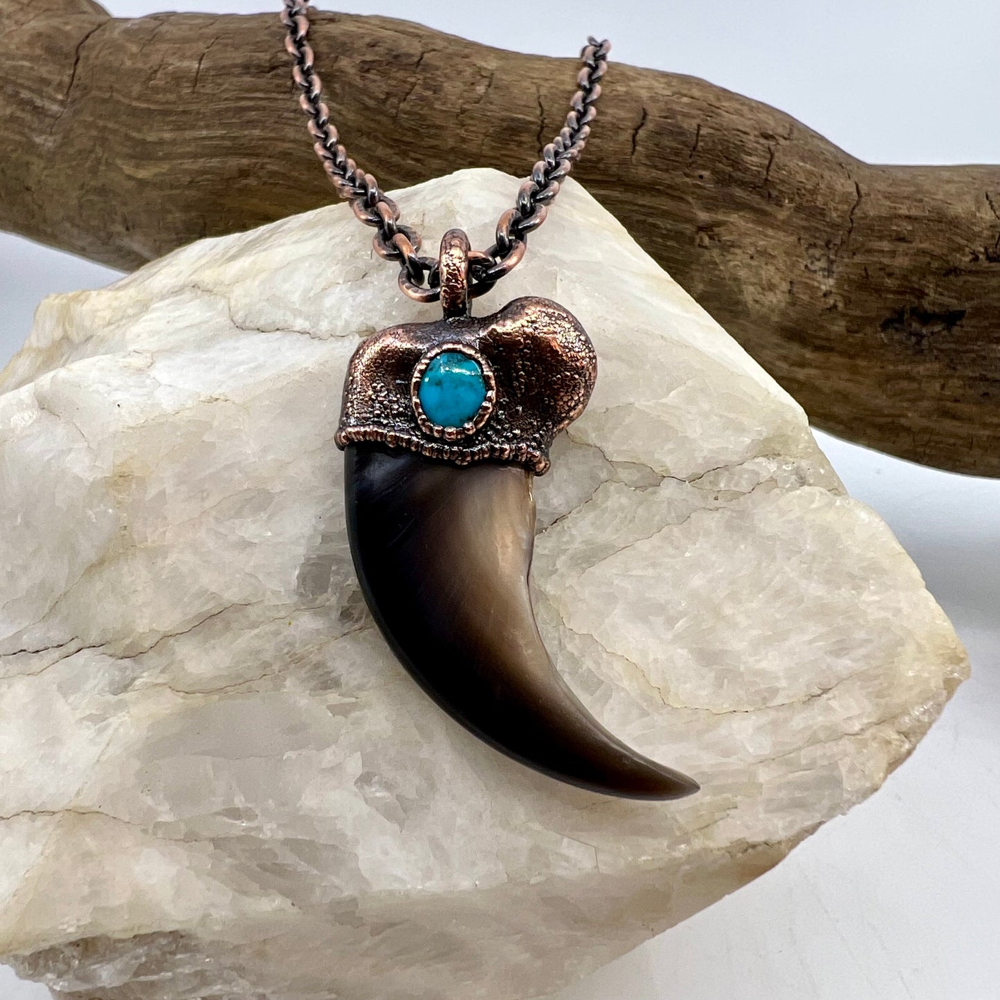 Black Bear Claw with Turquoise Accent, Large Front Claw - Copper Electroformed Necklace