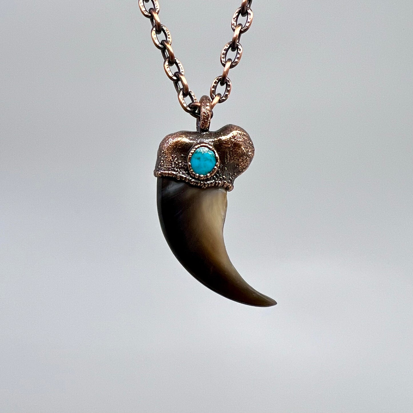 Black Bear Claw with Turquoise Accent, Large Front Claw - Copper Electroformed Necklace