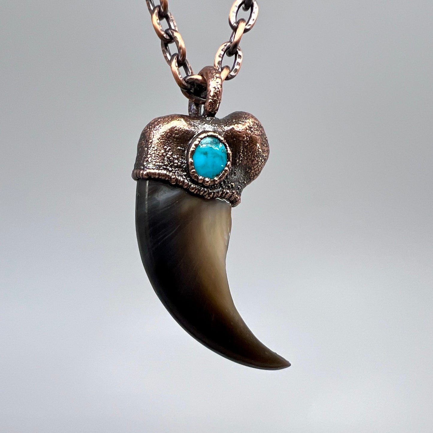 Black Bear Claw with Turquoise Accent, Large Front Claw - Copper Electroformed Necklace