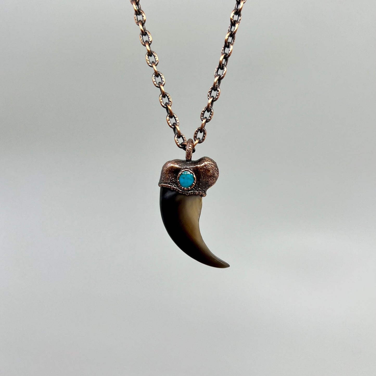 Black Bear Claw with Turquoise Accent, Large Front Claw - Copper Electroformed Necklace