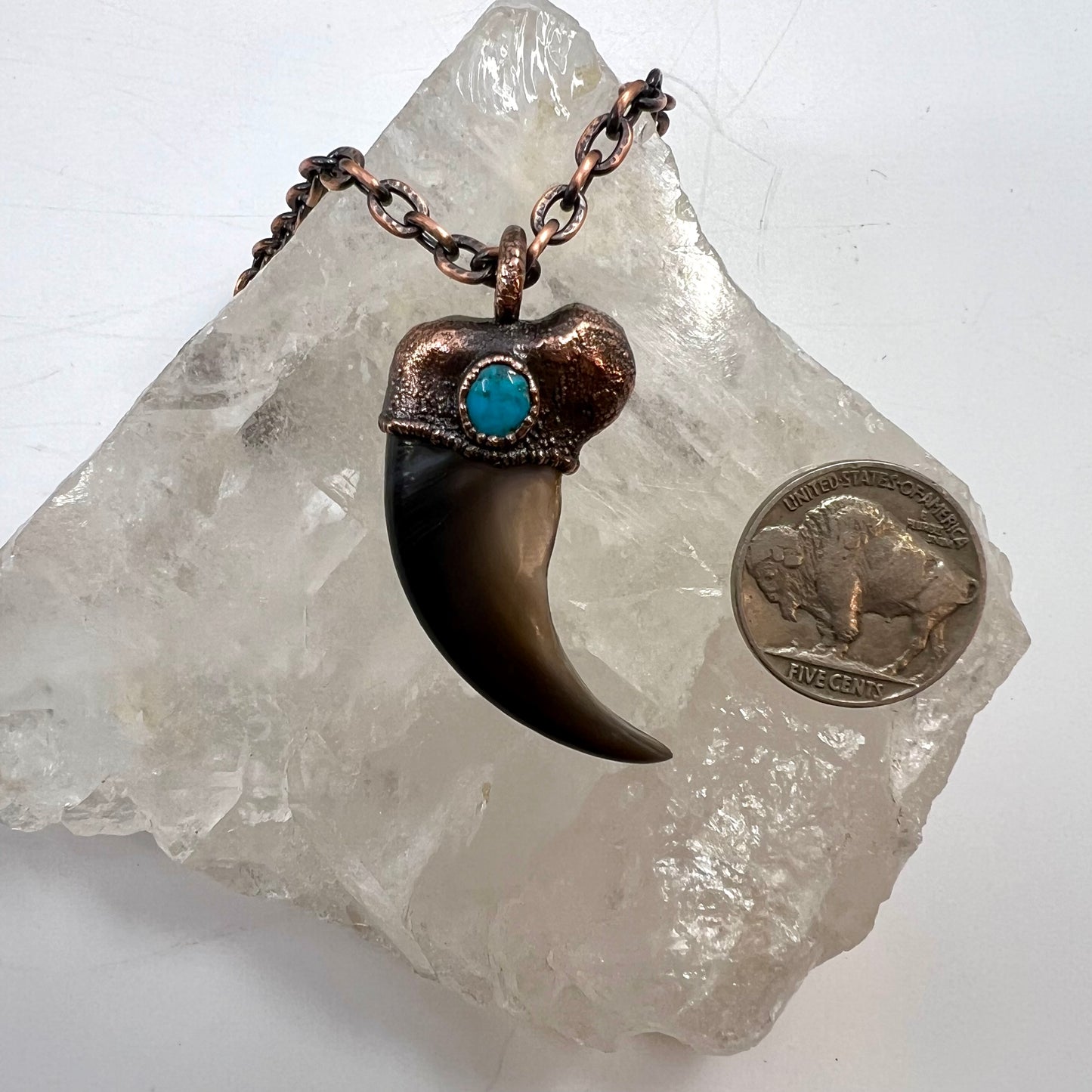 Black Bear Claw with Turquoise Accent, Large Front Claw - Copper Electroformed Necklace