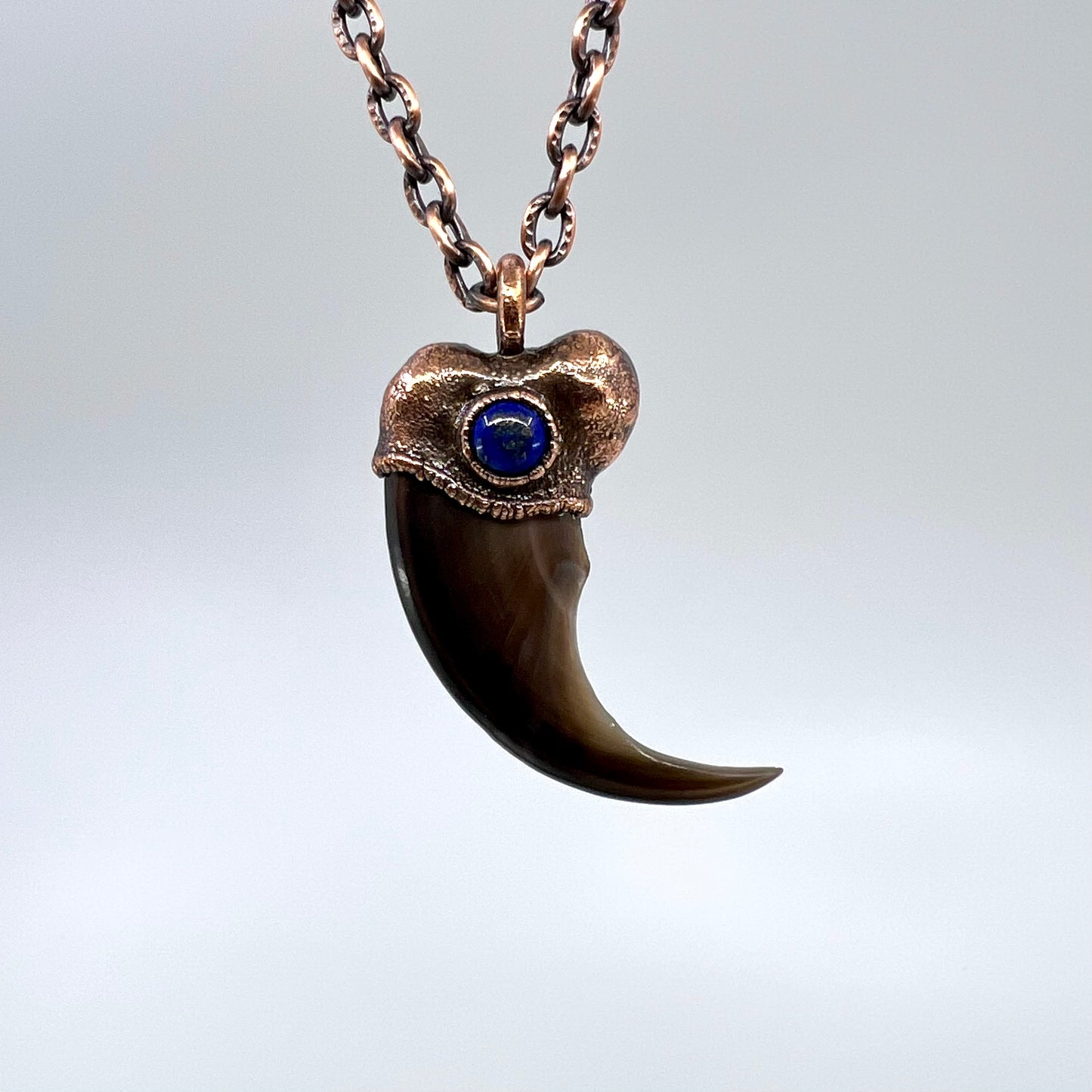 Black Bear Claw with Lapis Lazuli Accent, Large Front Claw - Copper Electroformed Necklace