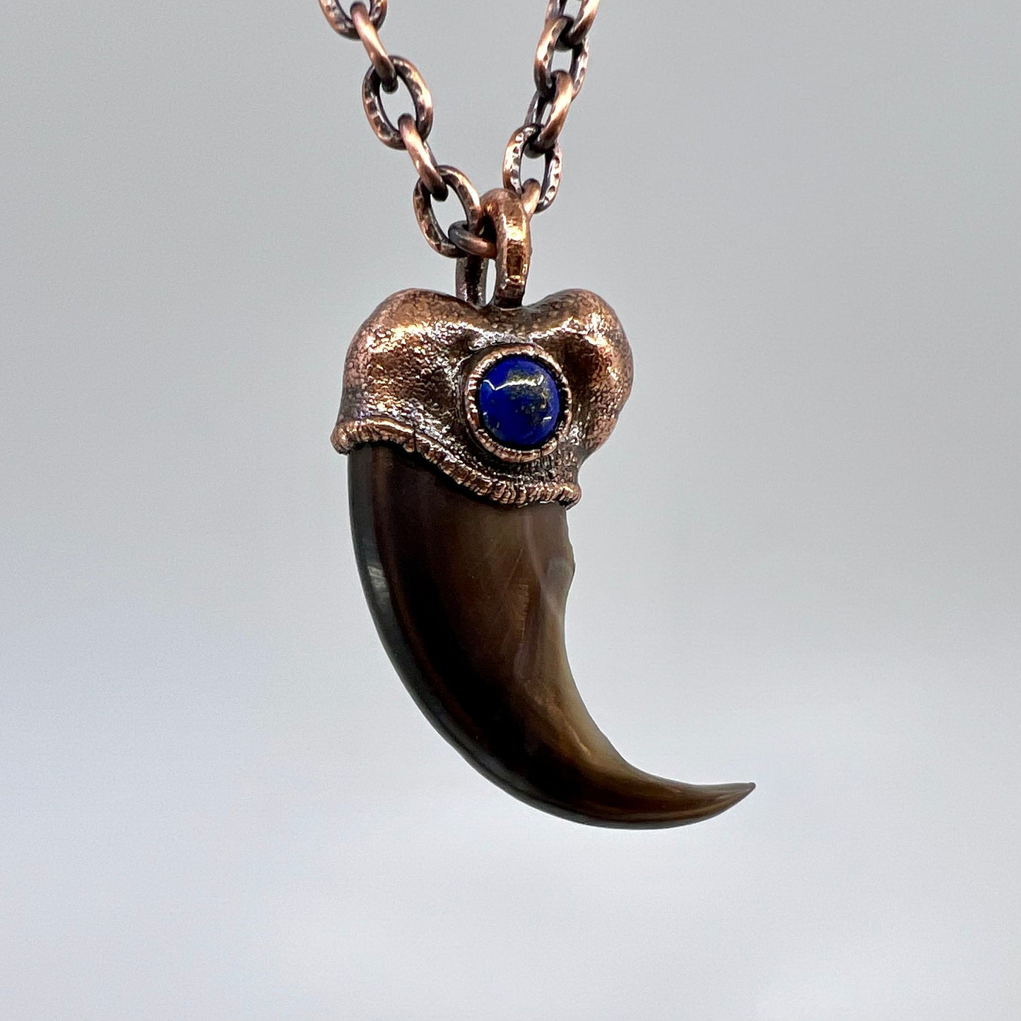 Black Bear Claw with Lapis Lazuli Accent, Large Front Claw - Copper Electroformed Necklace