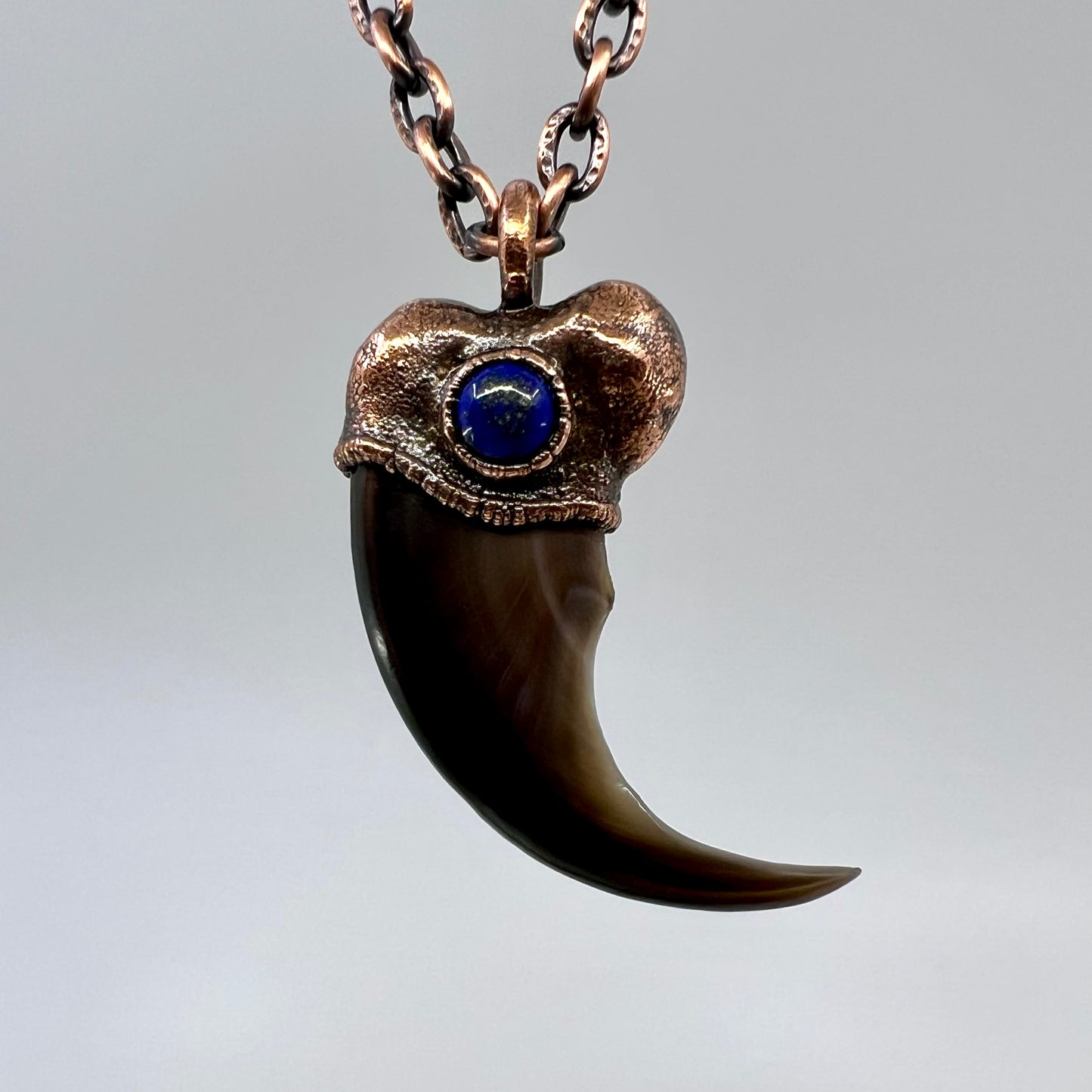 Black Bear Claw with Lapis Lazuli Accent, Large Front Claw - Copper Electroformed Necklace