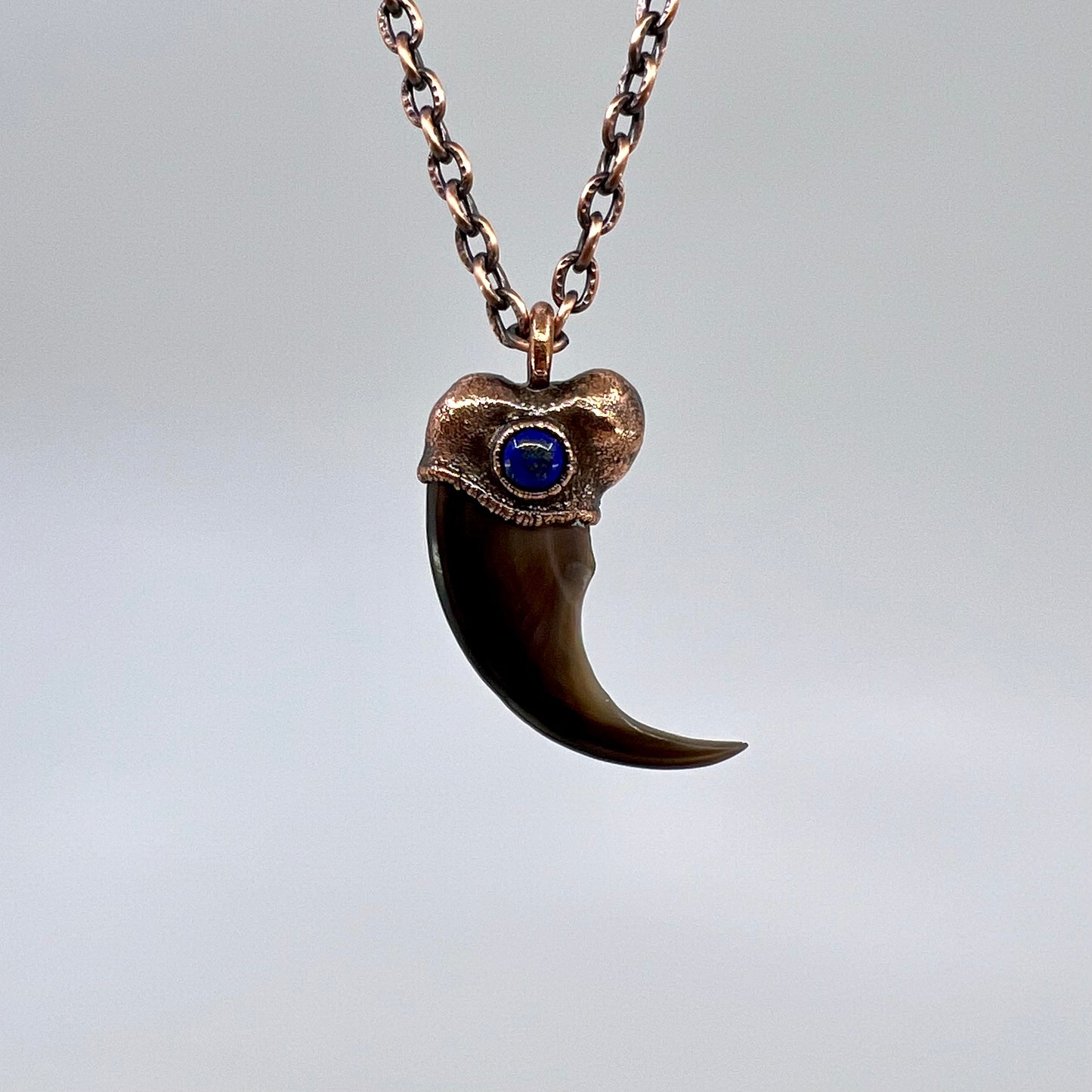 Black Bear Claw with Lapis Lazuli Accent, Large Front Claw - Copper Electroformed Necklace