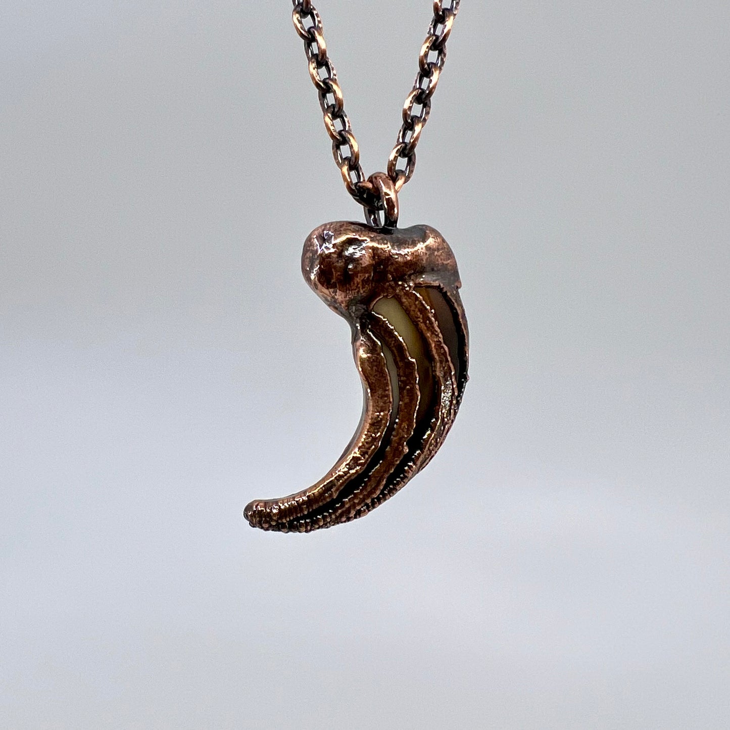 Black Bear Claw Necklace, Large/XL Front Claw - Copper Electroformed