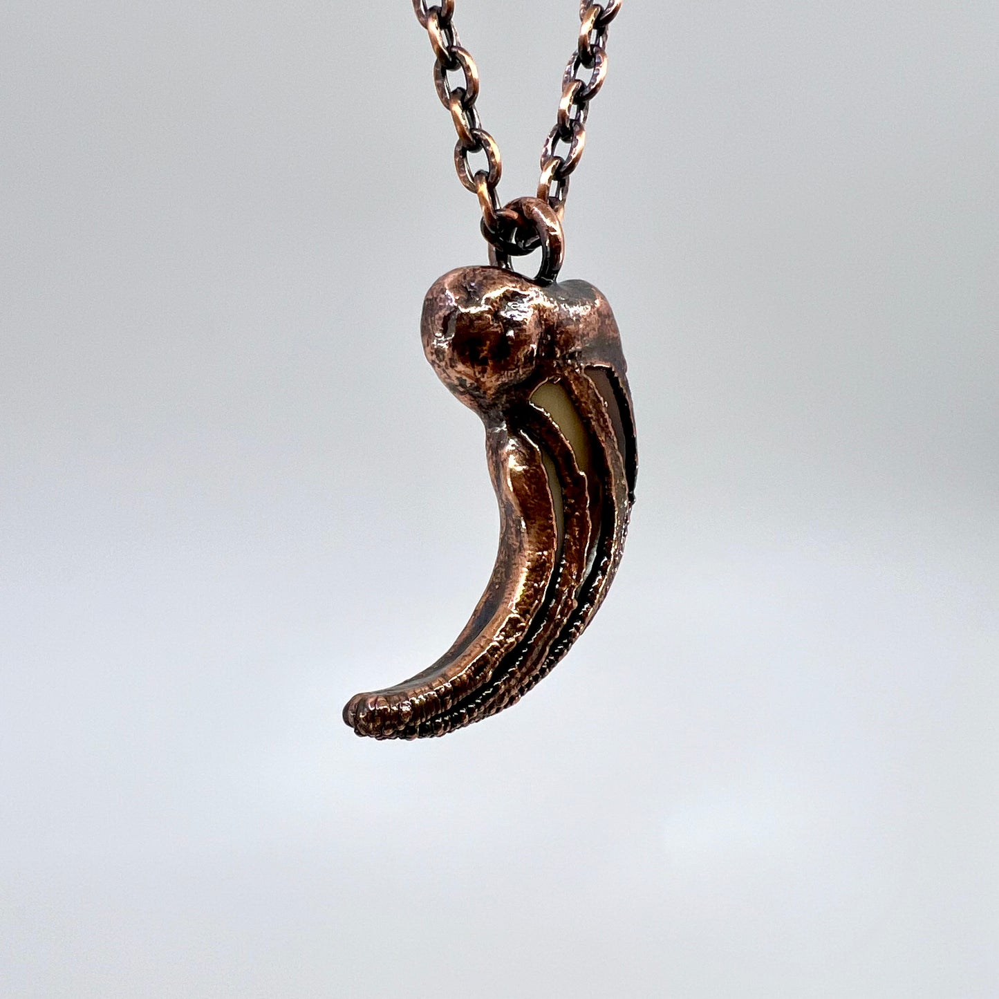 Black Bear Claw Necklace, Large/XL Front Claw - Copper Electroformed