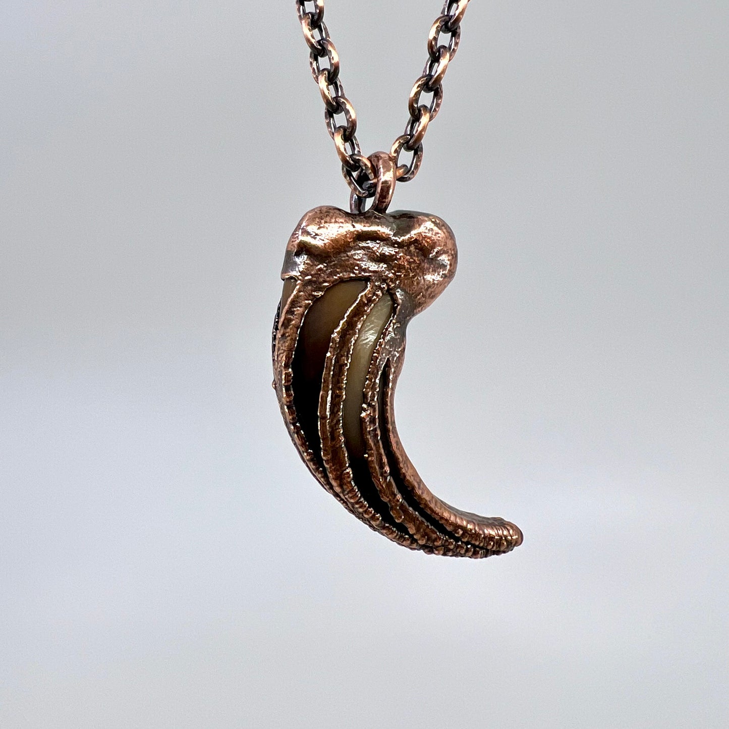 Black Bear Claw Necklace, Large/XL Front Claw - Copper Electroformed