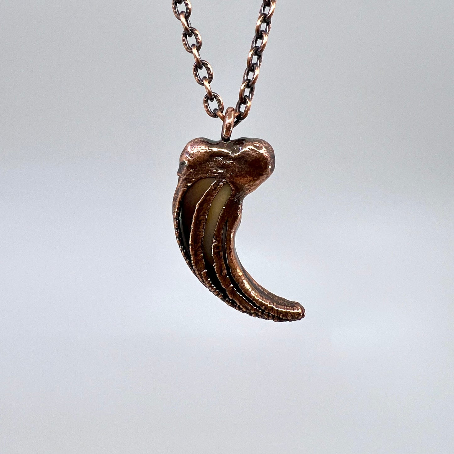 Black Bear Claw Necklace, Large/XL Front Claw - Copper Electroformed