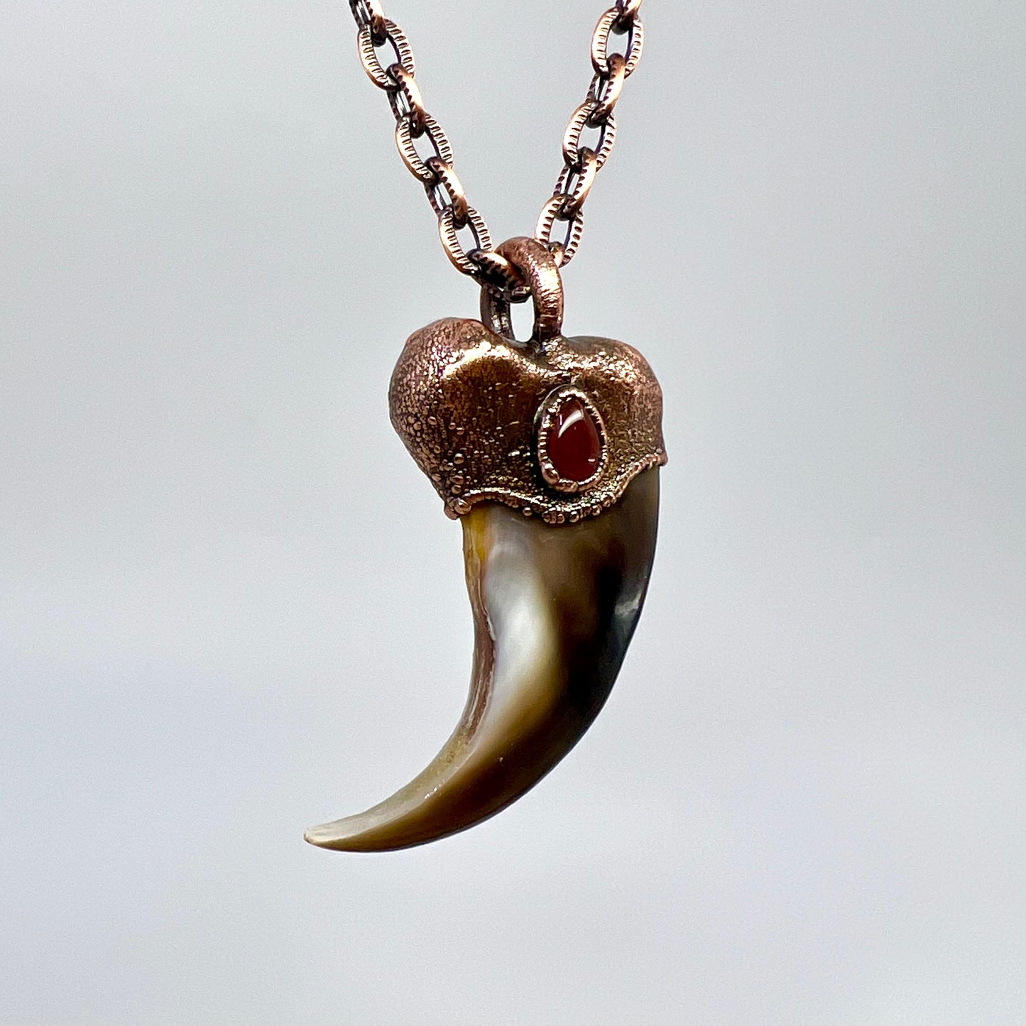 Black Bear Claw with Carnelian Accent, Med/Large Front Claw - Copper Electroformed Necklace