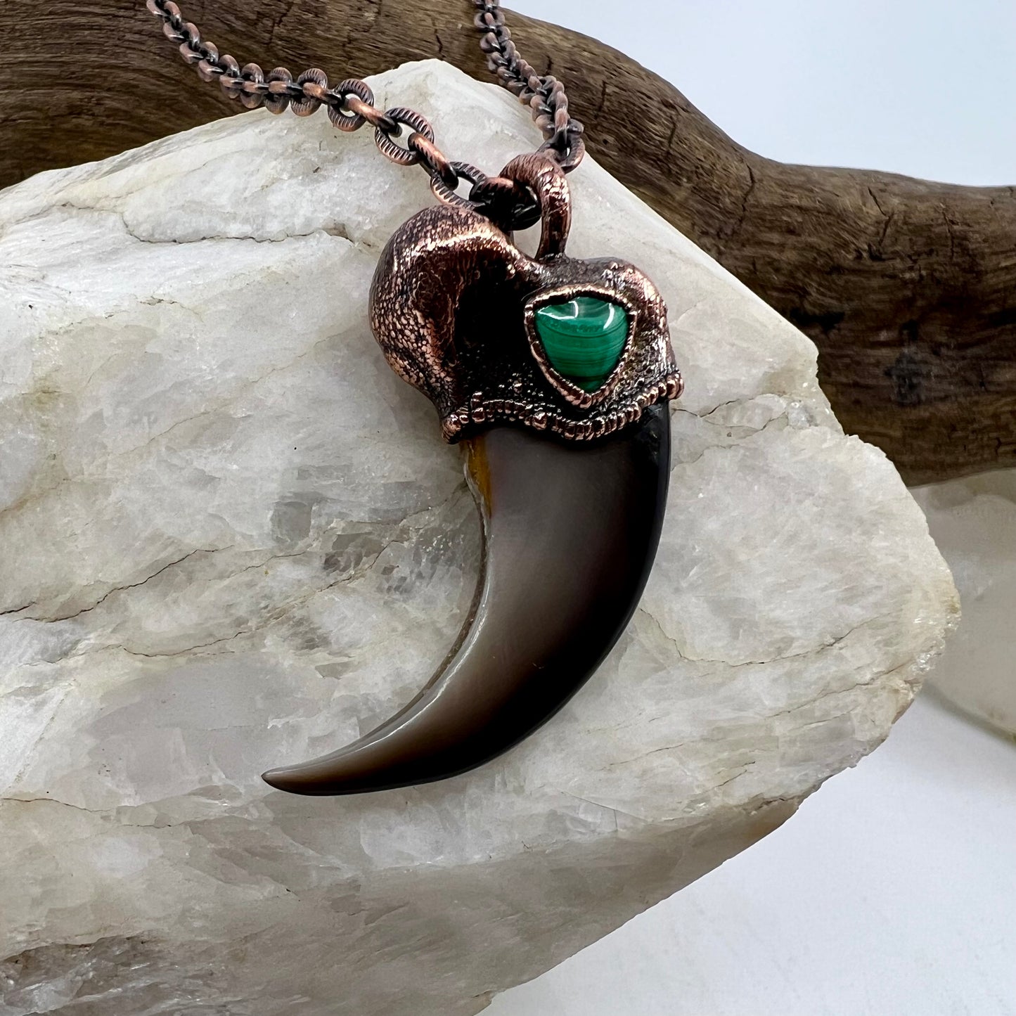 Black Bear Claw with Malachite Accent, Large Front Claw - Copper Electroformed Necklace