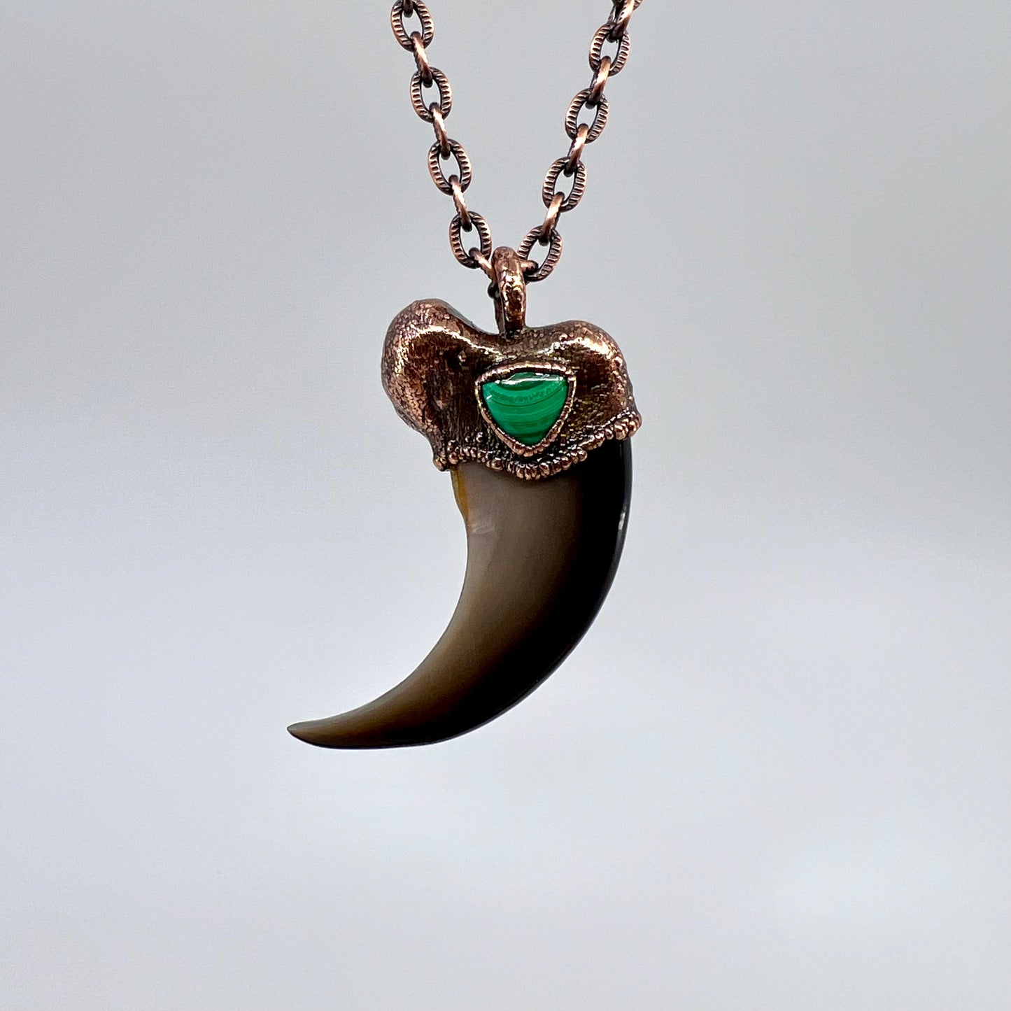 Black Bear Claw with Malachite Accent, Large Front Claw - Copper Electroformed Necklace