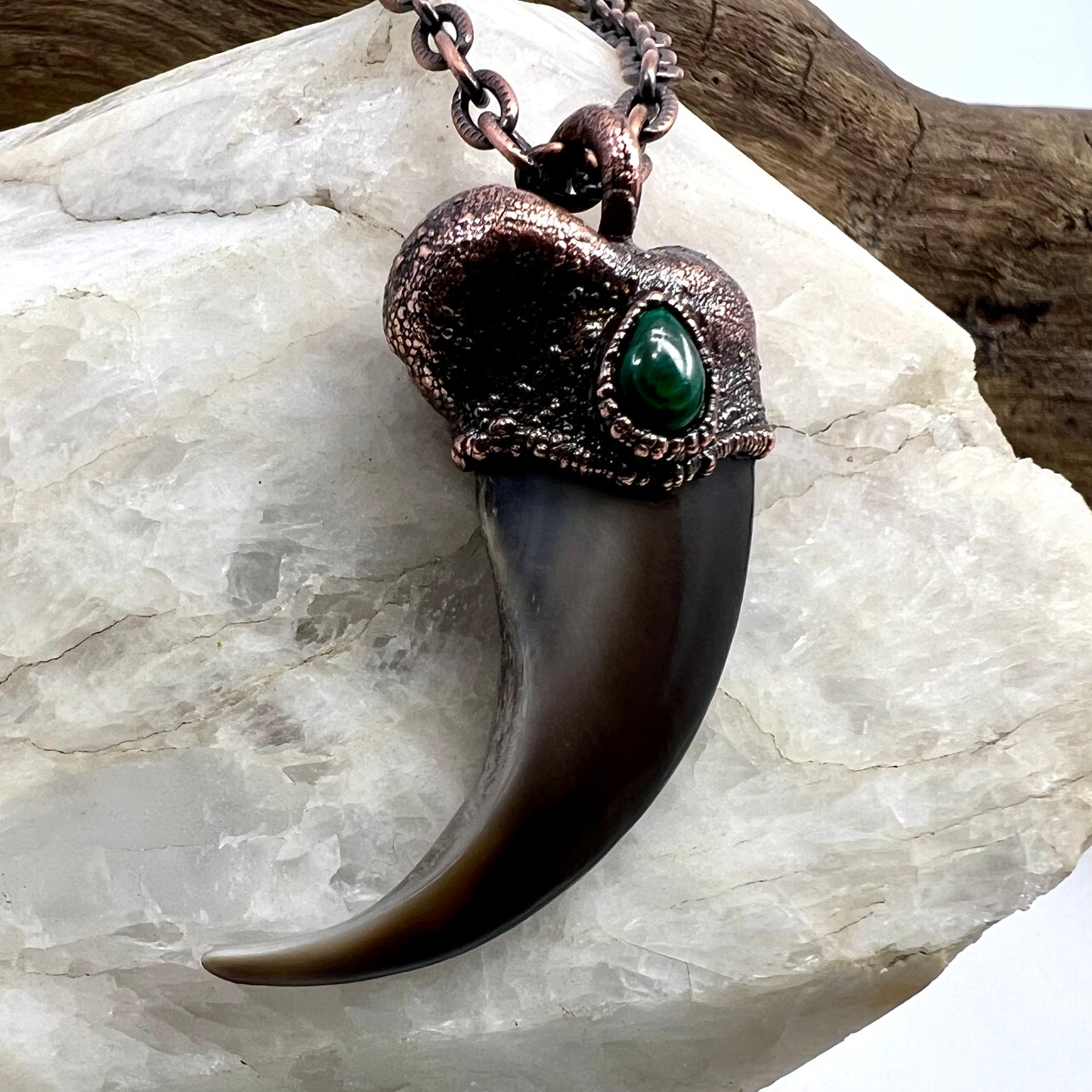 Black Bear Claw with Malachite Accent, Large Front Claw - Copper Electroformed Necklace