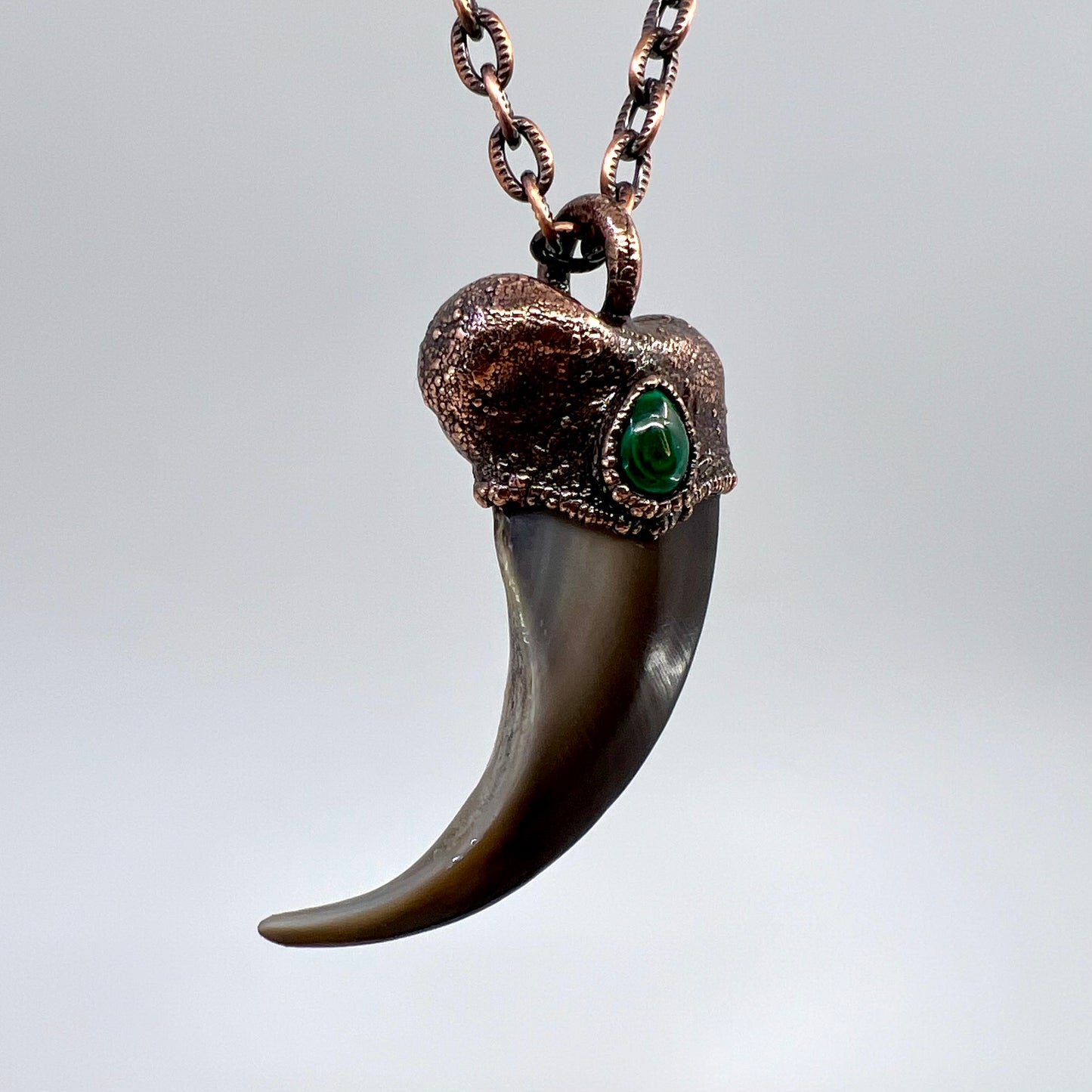 Black Bear Claw with Malachite Accent, Large Front Claw - Copper Electroformed Necklace