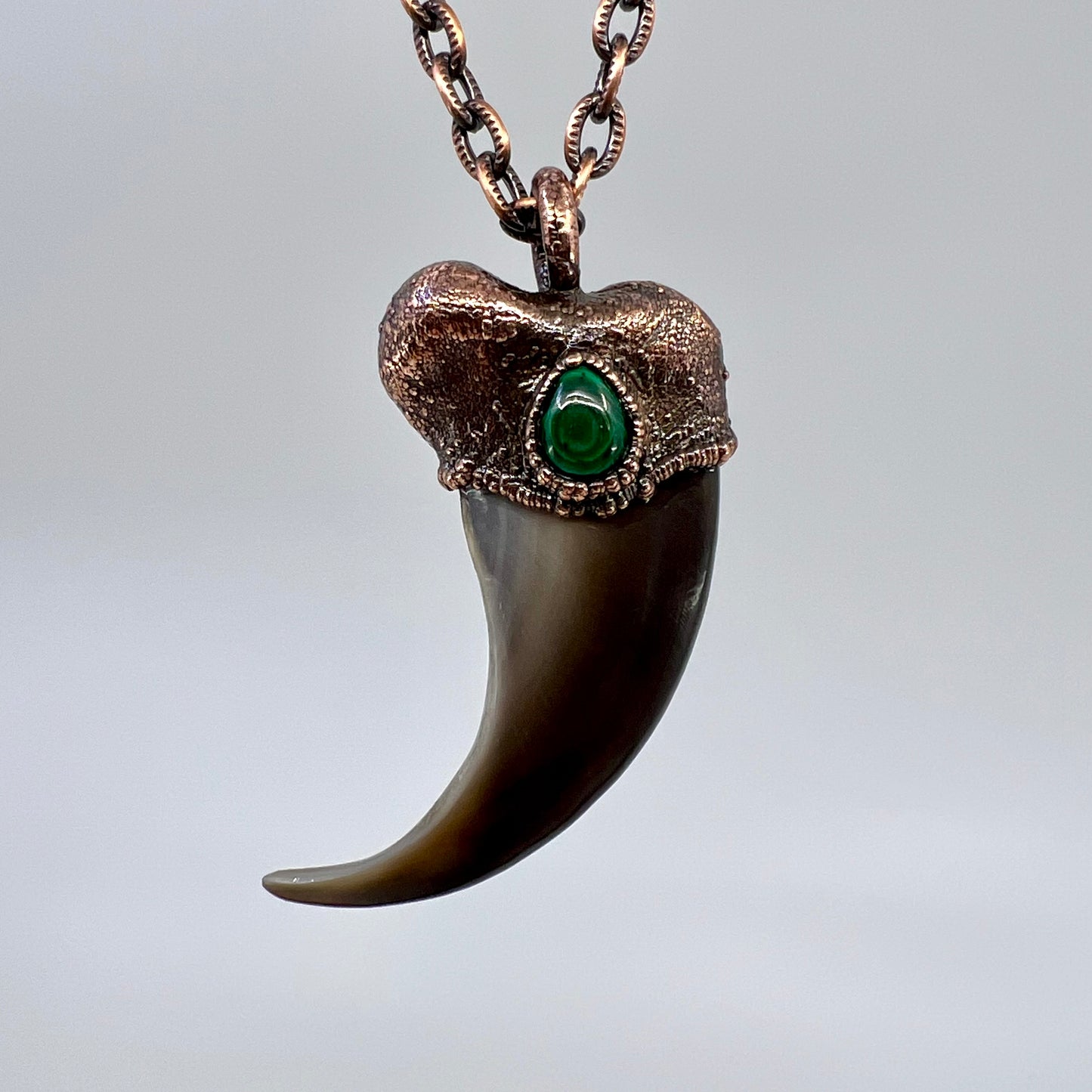 Black Bear Claw with Malachite Accent, Large Front Claw - Copper Electroformed Necklace