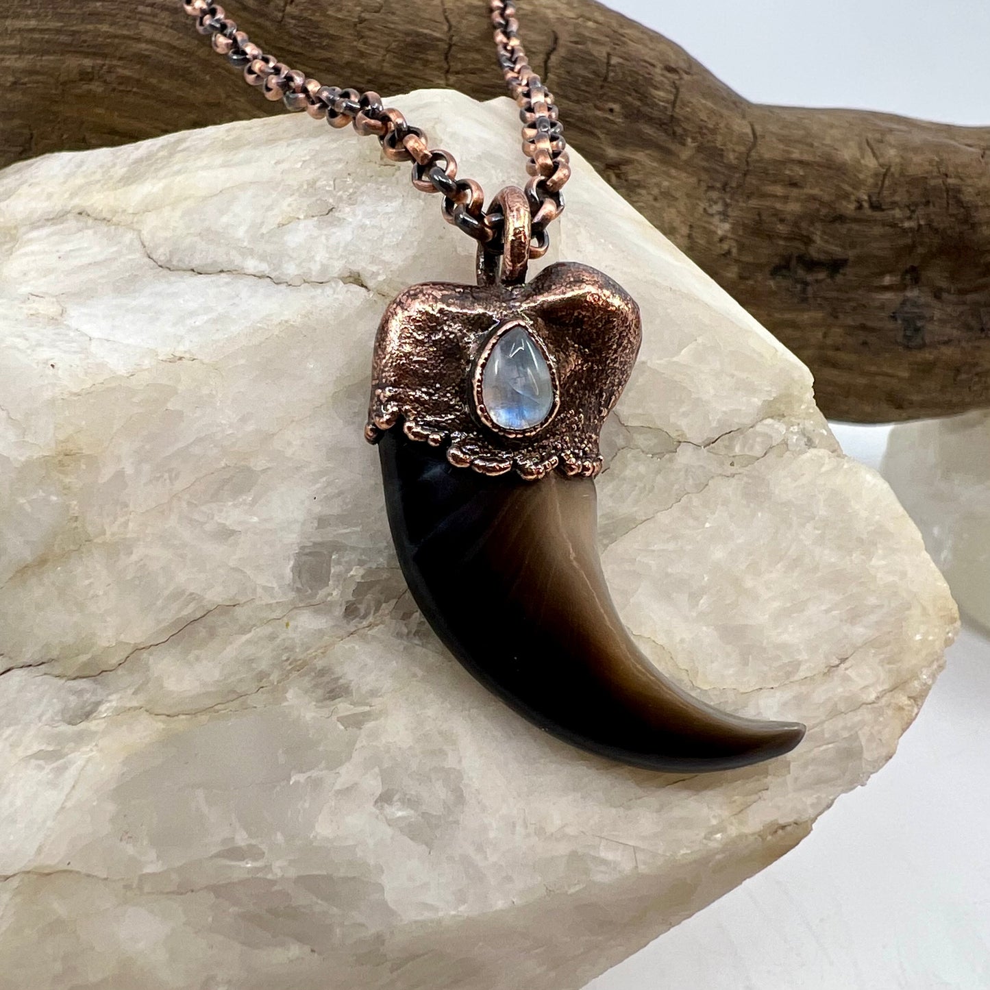 Black Bear Claw with Moonstone Accent, Large Front Claw - Copper Electroformed Necklace