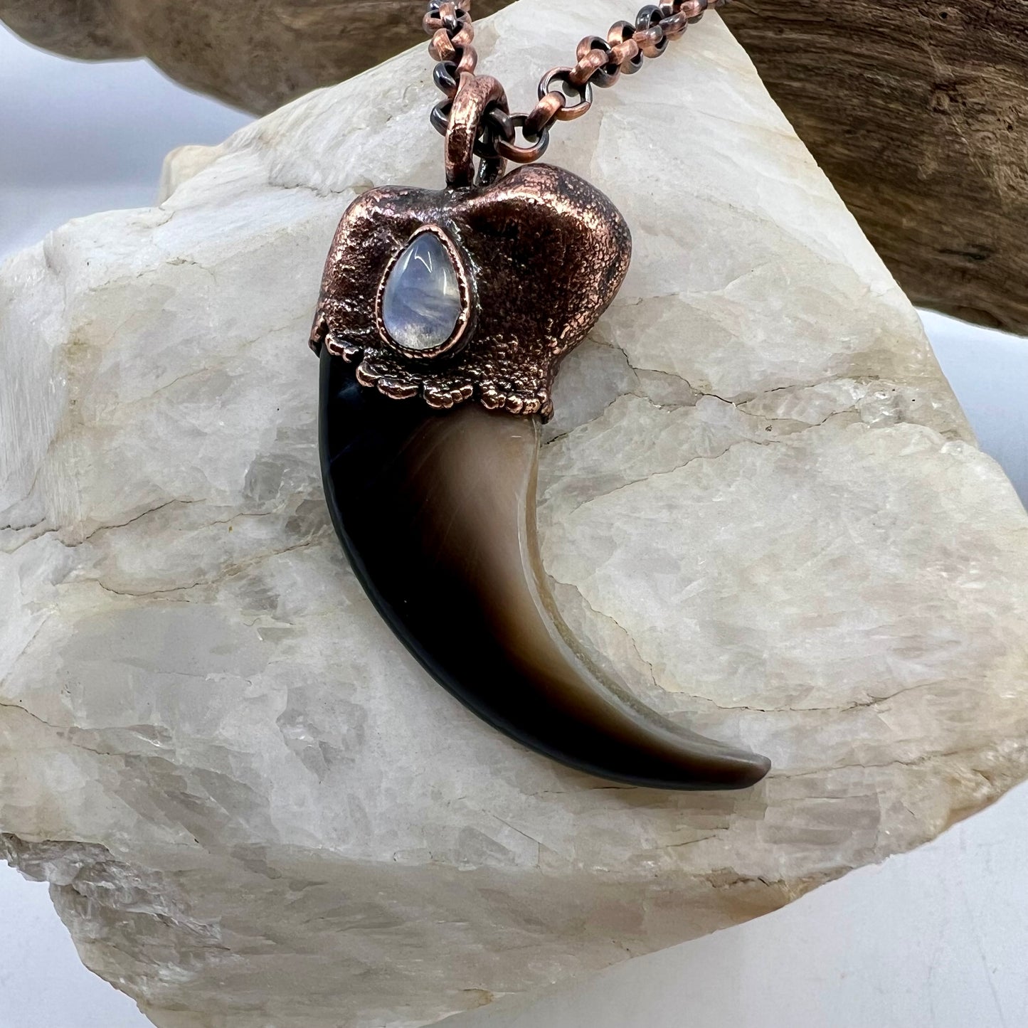 Black Bear Claw with Moonstone Accent, Large Front Claw - Copper Electroformed Necklace