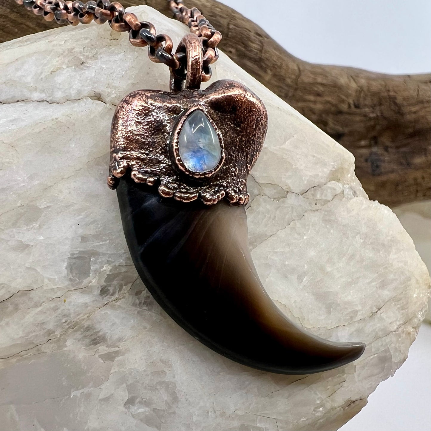 Black Bear Claw with Moonstone Accent, Large Front Claw - Copper Electroformed Necklace