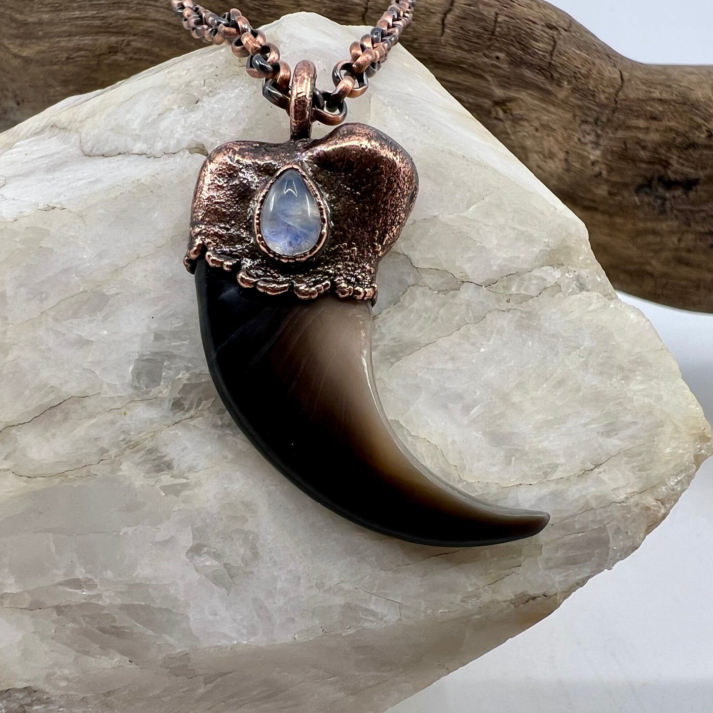 Black Bear Claw with Moonstone Accent, Large Front Claw - Copper Electroformed Necklace