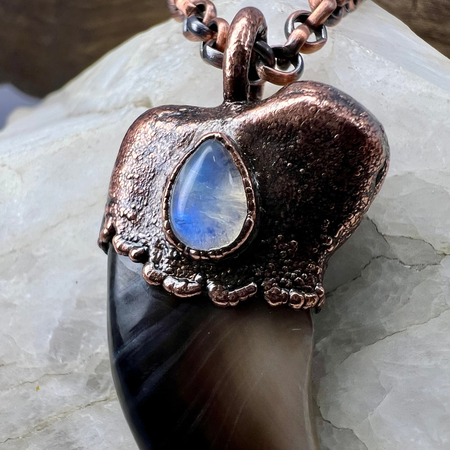 Black Bear Claw with Moonstone Accent, Large Front Claw - Copper Electroformed Necklace