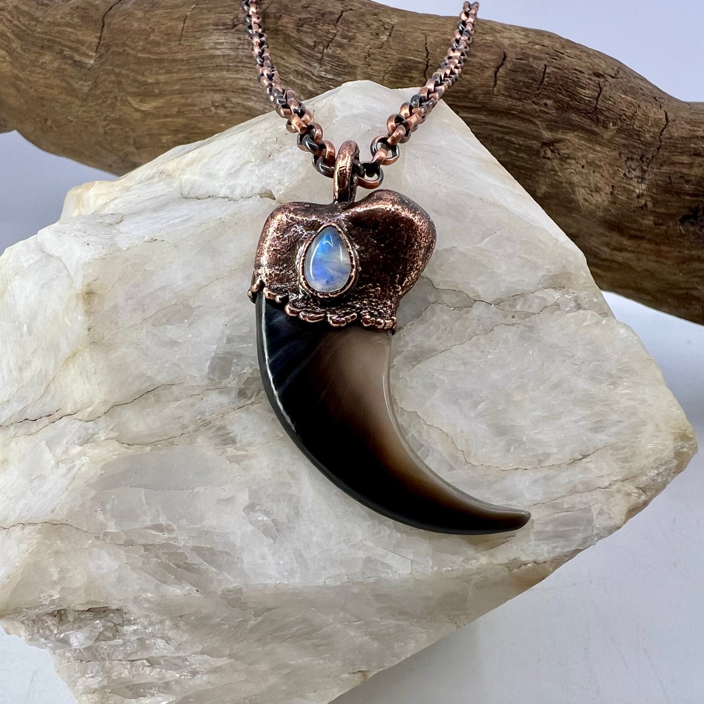 Black Bear Claw with Moonstone Accent, Large Front Claw - Copper Electroformed Necklace