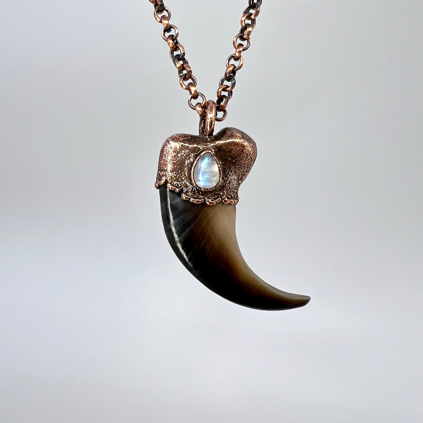 Black Bear Claw with Moonstone Accent, Large Front Claw - Copper Electroformed Necklace