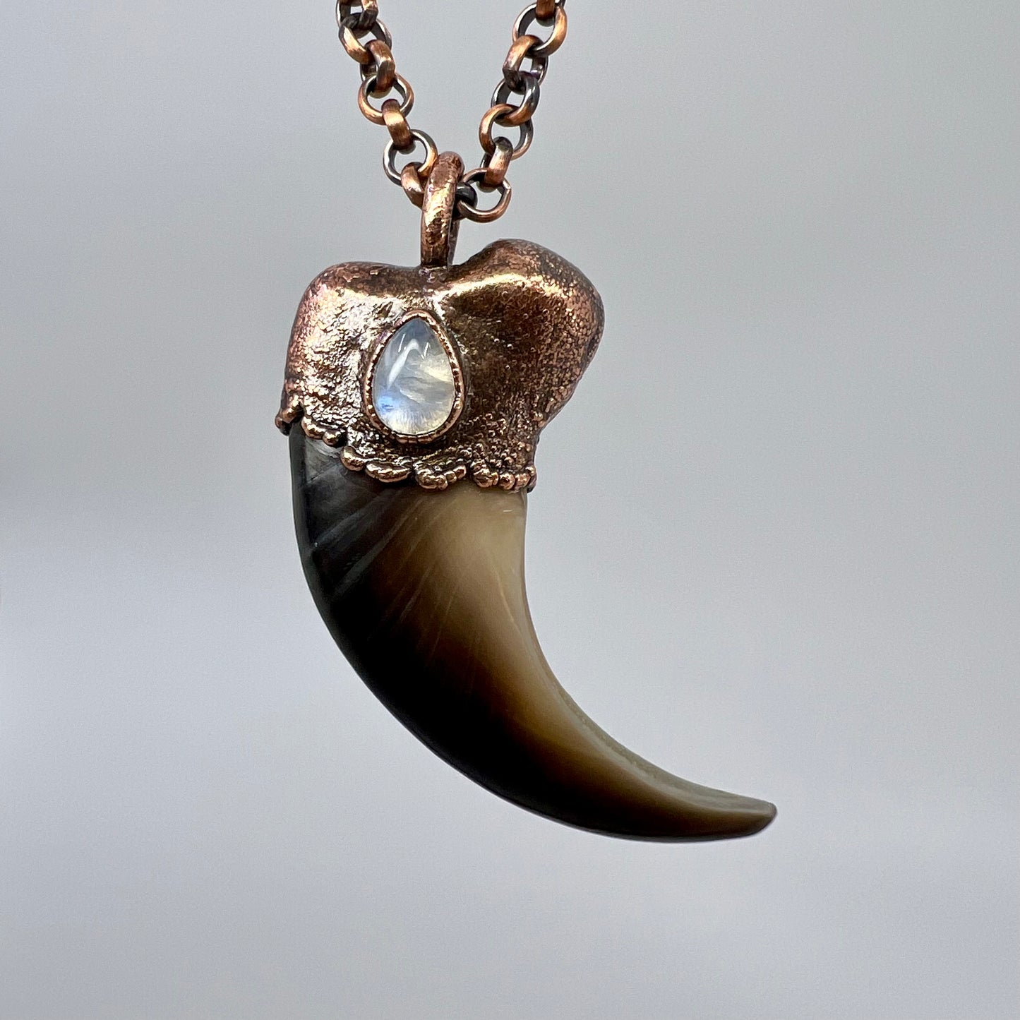 Black Bear Claw with Moonstone Accent, Large Front Claw - Copper Electroformed Necklace