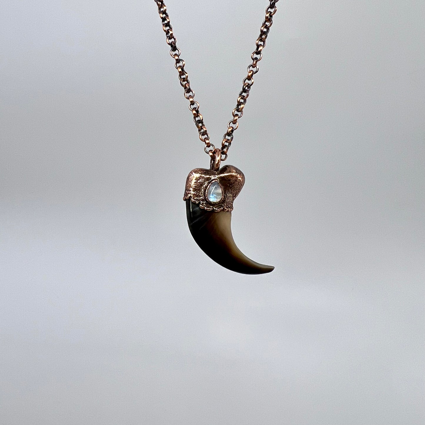 Black Bear Claw with Moonstone Accent, Large Front Claw - Copper Electroformed Necklace