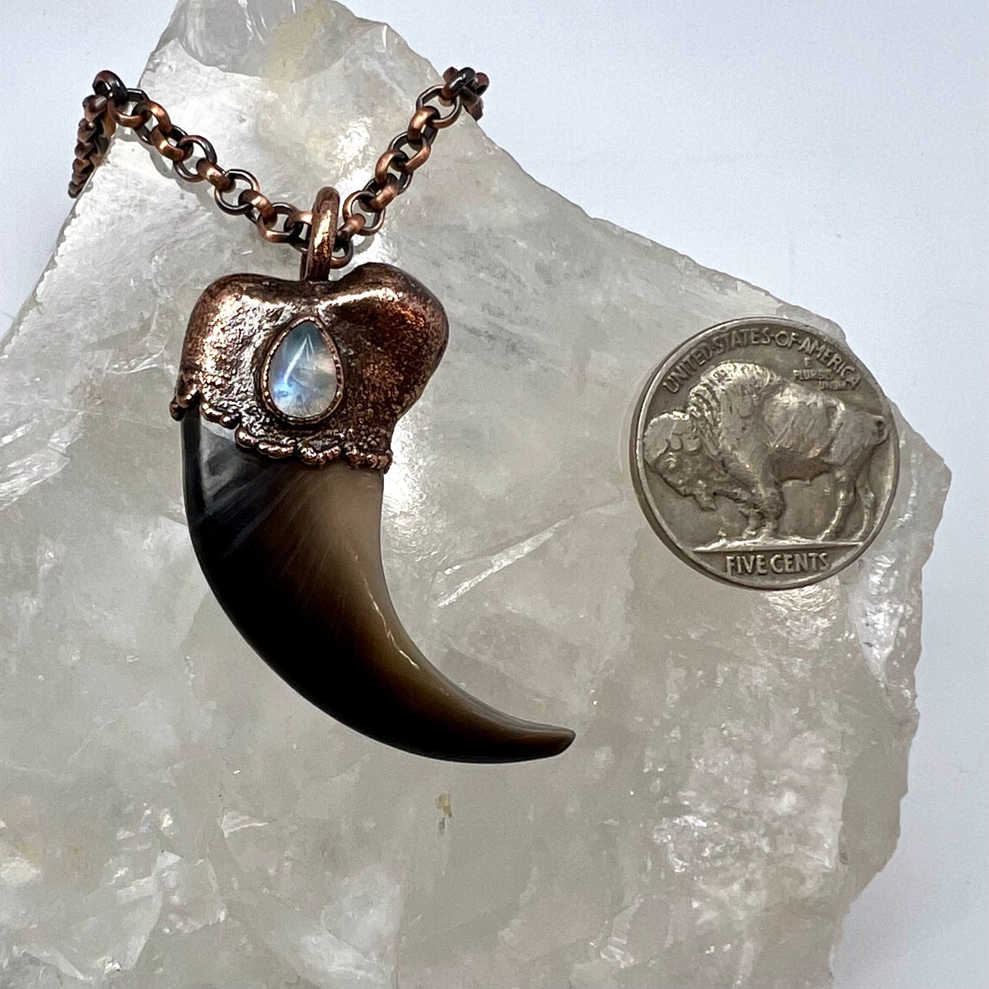 Black Bear Claw with Moonstone Accent, Large Front Claw - Copper Electroformed Necklace