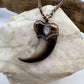 Black Bear Claw with Moonstone Accent, Large Front Claw - Copper Electroformed Necklace