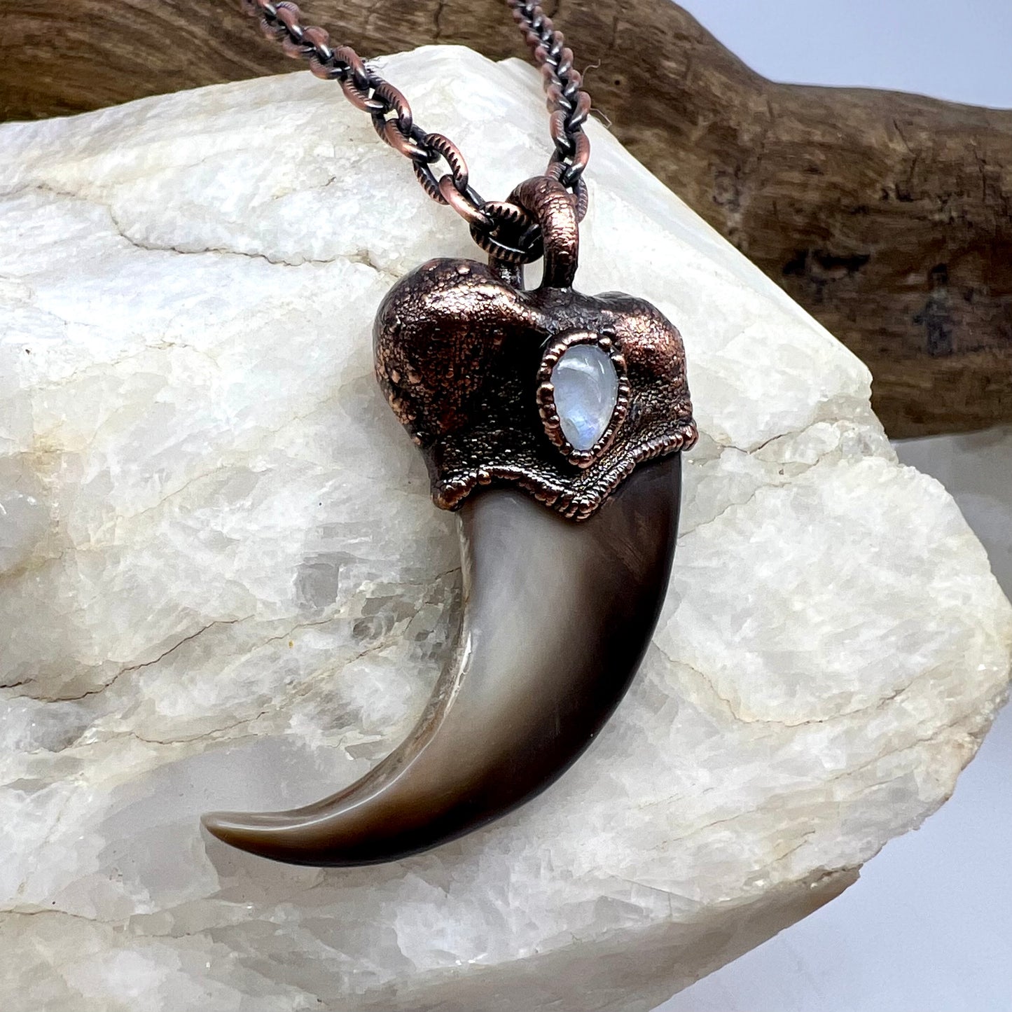 Black Bear Claw with Moonstone Accent, Large Front Claw - Copper Electroformed Necklace