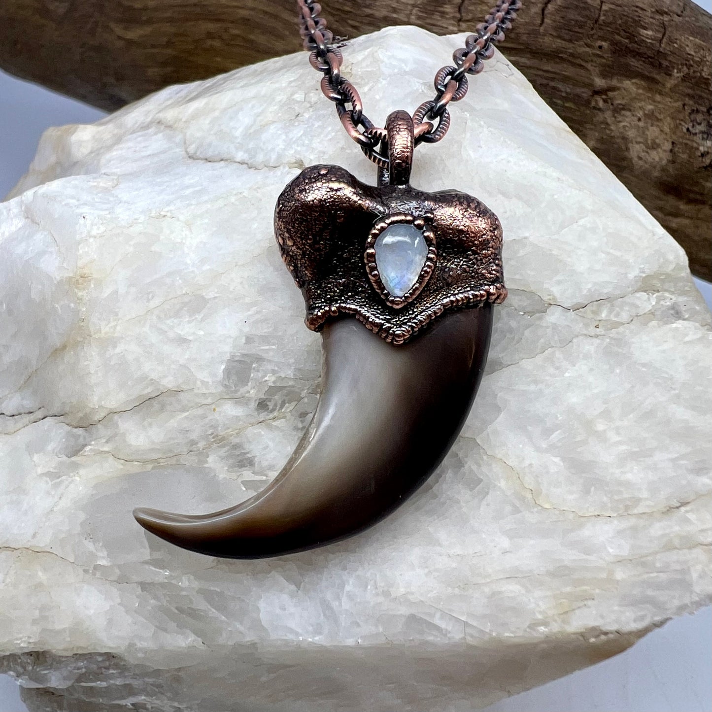 Black Bear Claw with Moonstone Accent, Large Front Claw - Copper Electroformed Necklace